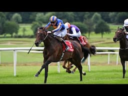 500,000gns purchase DAYTONA strikes on debut for Aidan O’Brien