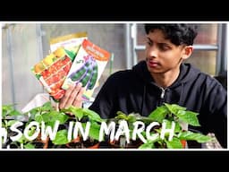 What To Sow And Grow In March | Growing Vegetables In UK