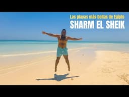 QUE HACER EN SHARM EL SHEIJ 🏖️ snorkell en Sharm El Sheikh 🐠 El Parque Nacional Ras Muhammad