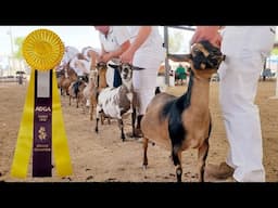 And The Winner Is....
