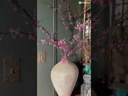 Spring in the air #lifestyleofthethriftandfamous #homedecor