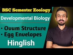 Ovum Structure | Egg Envelopes || Developmental Biology | Bsc Semester || By Dadhich Sir