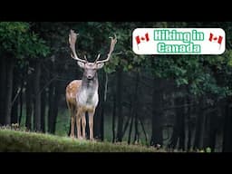 Let’s Go Hiking In Canada!