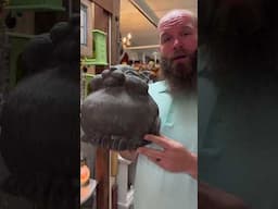 Back for Round 2 Of Unique & Crazy Items At The Shop! #funny #vintage #retro #antique #fyp #travel