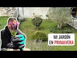 Cómo está MI JARDÍN EN PRIMAVERA: actualización después de las podas