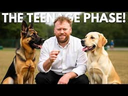 Dog Training MISTAKES In The TEENAGE PHASE!