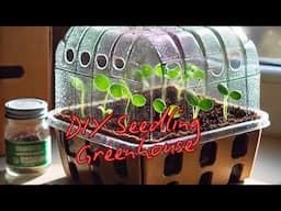 Spring Garden Update 2025 | DIY Seedling Greenhouse from Upcycled Materials + Special Deals!