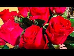 THANK YOU FOR THE LOVE ❤️ HAPPY VALENTINES DAY EVERYONE 🌹