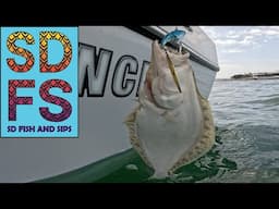 SAN DIEGO BAY DAY | Micro Jig Fishing Halibut Barracuda Spotted Bay Bass Freedom Boat Club