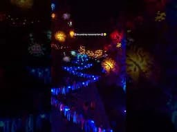 nocturnal views are breathtaking 🔮🌼 #nocturnalwonderland #edm #rave #musicfestival