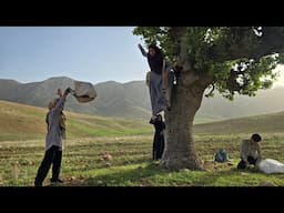 * Rebirth: The story of a nomadic woman and the return of her memory after several years