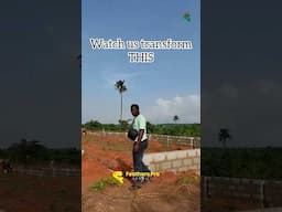 New Poultry Farm Update