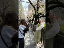 Cherry Blossom Photoshoot in Japan