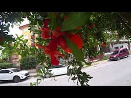 ALANYA 1 МАЯ ЧТО В ИТОГЕ С ПОГОДОЙ