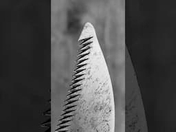 Guess the Tool 🤔