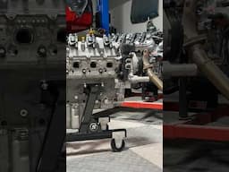 LS vs LT - Which engine are you picking? #ls #lt #engine #thisorthat #engineswap