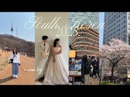 South Korea Vlog: 2 weeks in Seoul & Gimpo, wedding photoshoot, Namsan Tower & exploring!