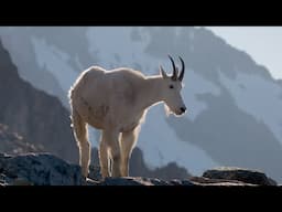 The North Cascades: An Elevated Journey