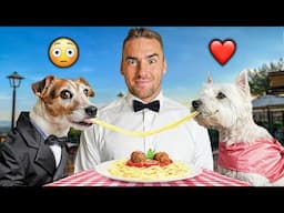 My Dog Went on a Blind Date