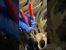 own these clamps