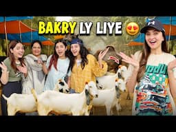Bakray leny mandi pohanch gaye | Rate final krwa liya | Hira Faisal | Sistrology.