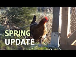 Permaculture Garden Spring Update