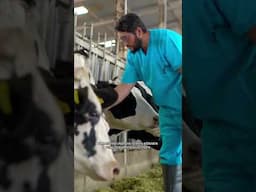 Respekt kostet nichts #Hundeetikette #Hundeknigge #Landwirtschaft