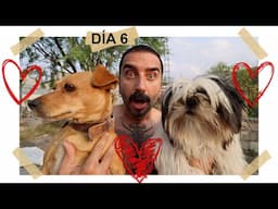 una nueva HISTORIA de AMOR | mi papá, mi perro y mis suegros día 6