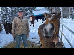 Morning Routine || Alaskan Homestead || Otto Kilcher