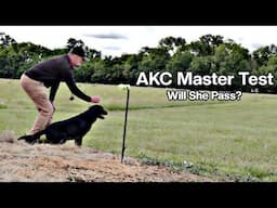AKC Master Hunt Test at Flint Oak | Georgie’s Big Challenge