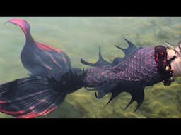 How I Painted my Braveeer Silicone Mermaid Tail (adding custom details for Mermaid Shadow's tail)