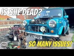SO MANY ISSUES WITH MY CLASSIC MINI - Where shall we start?