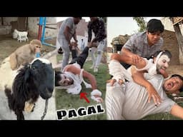 Javed Dog Ki Trha Attack Krna Laga 😨 Pagal Ho Gya Ya 😭
