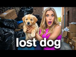 We Found a Lost Dog All Alone