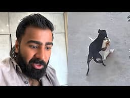 Jojo ki fight ho gai aaj toh
