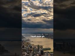 ماذا تعلمت من الغربة في امريكا ؟!
