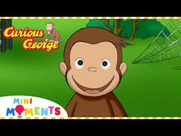 George Learns About Webs!  | Curious George | Mini Moments