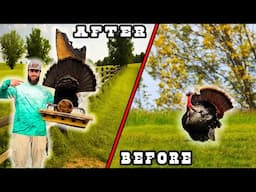 How to Mount Your OWN TURKEY | DIY TAXIDERMY