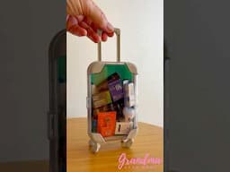 Travel Hacks Gone Wild: Mini Brands vs. Full-Size Chaos! 😂✈️