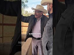 La JOCOCA 3a parte 🐂2 #elcampoesfuturo #elcamponopara