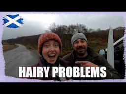WE'VE GOT OURSELVES INTO A HAIRY SITUATION