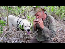 Camping With My Dog (Bruno's Final Adventure)