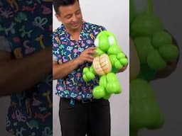 How To Make A Balloon Turtle 🐢 #cocomelon #colors #learning #shorts