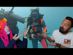 Divers React to Silent Killers every diver needs to know