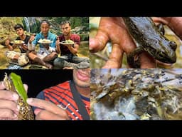 CATCHING Tadpoles NEAR Waterfalls AND COOKING THEM FRESH! iong i