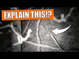 What's REALLY Lurking in the Dark??? AKASO Seemor Budget Night Vision Goggles Test
