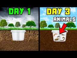I Put a Plastic Box In The Ground...