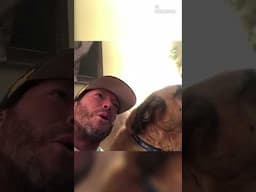 It’s Monday and You’re Whining With Your Dog Like It’s a Group Project