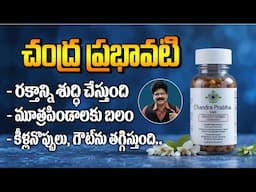 మీ శరీరాన్ని శుభ్రపరిచే అమృతగుళిక – చంద్రప్రభ వటి | Benefits in Telugu | Uses, Dosage, Side Effects