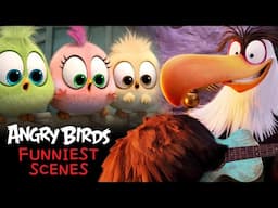 Angry Birds - Best Scenes